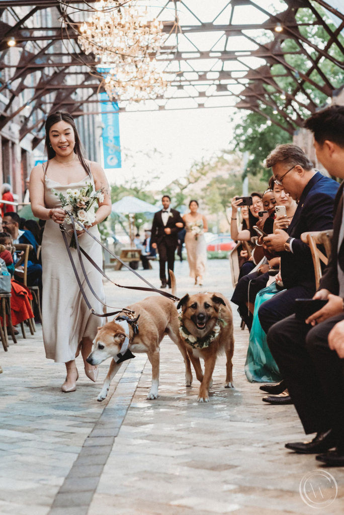 Bridgeport Art Center wedding ceremony with dogs