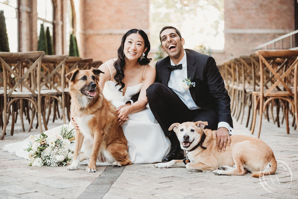 Indian-Christian wedding bride and groom with their dogs