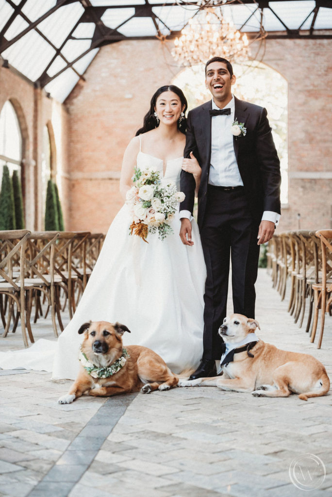 Indian-Christian wedding bride and groom with dogs